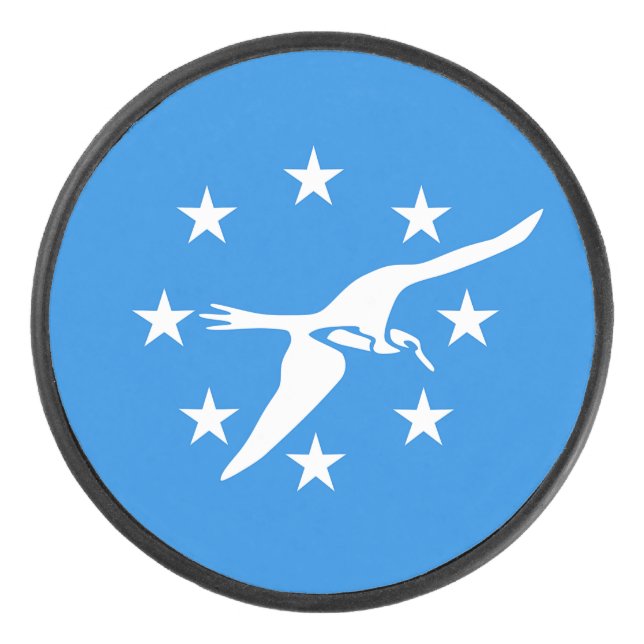 Patriotischer Hockey-Puck mit Fahne von Corpus Chr Eishockey Puck (Vorderseite)