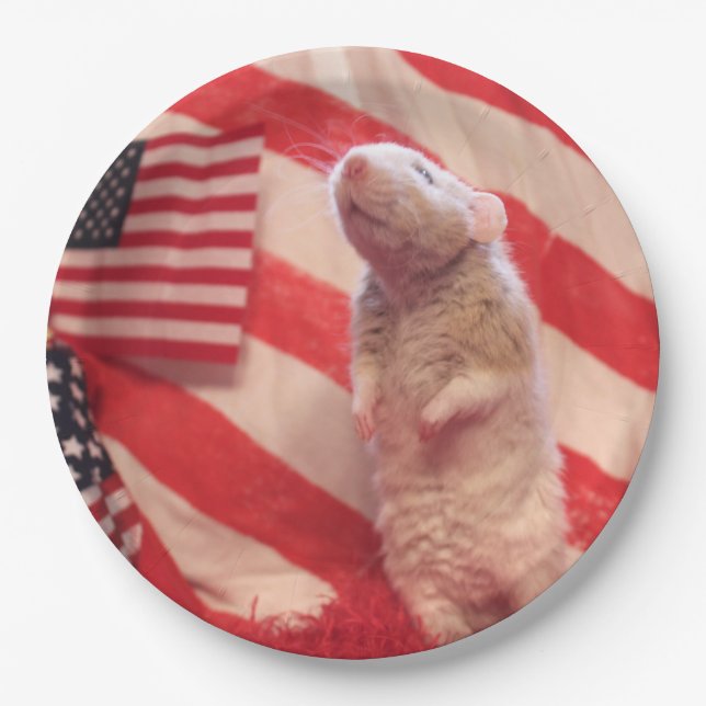 Patriotischer Murray Pappteller (Vorderseite)