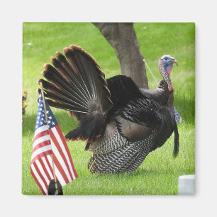 Patriotischer Truthahn stolziert Magnet