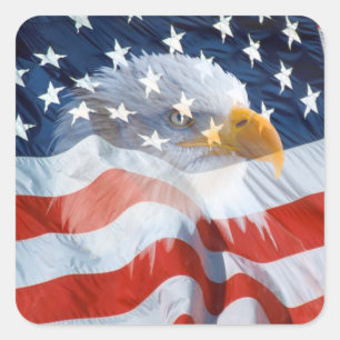 Patriotischer Weißkopfseeadler auf der Quadratischer Aufkleber