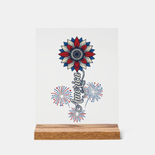 Patriotisches Amerika Blumen Feuerwerk Vintage Des Acrylschild
