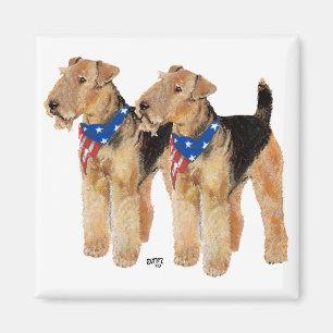 Patriotisches Flaggen-Duo Magnet