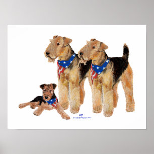Patriotisches Flaggen-Trio Poster