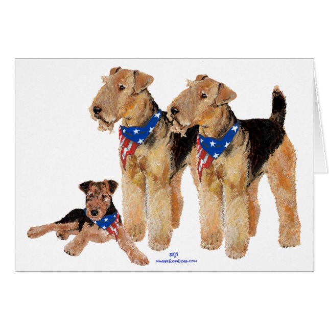 Patriotisches Flaggentrio (Vorderseite (Horizontal))