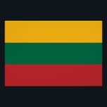 Patriotisches Poster mit Flagge Litauens<br><div class="desc">Mit diesem patriotischen Poster mit der lebendigen Flagge Litauens präsentieren Sie Ihren Nationalstolz im kühlen Stil! Dieses hochwertige Plakat wurde entwickelt, um Aufmerksamkeit zu erregen und Bewunderung inspirieren. Stolz zeigt es die gelbe, grüne und rote Trikolore der litauischen Flagge in einem klaren und auffallenden Format. Ob Zuhause, Büro, Klassenzimmer oder...</div>