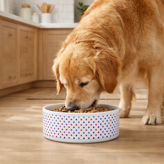 Patriotisches Rot- und Blau-Sternmuster Napf (A dog bowl with a red and blue star pattern.)