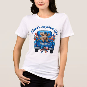 Patriotisches Süßes Kalb Retro LKW USA Tri-Blend Shirt