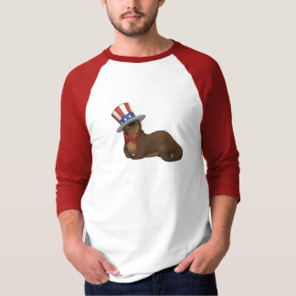 Patriotter Shirt