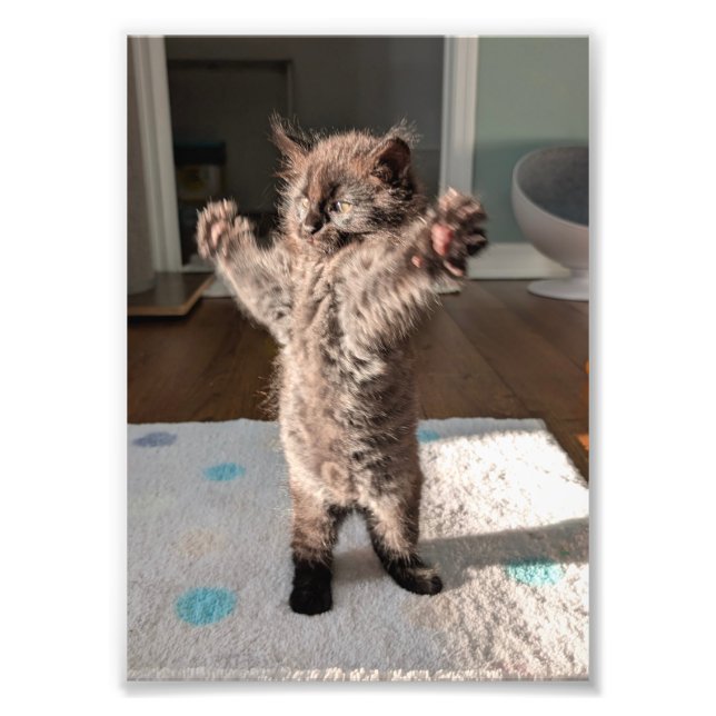 Patsy der Bär Fotodruck (Vorne)