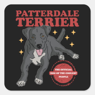 Patterdale Terrier Dog Of The Coolest Patterdales Quadratischer Aufkleber