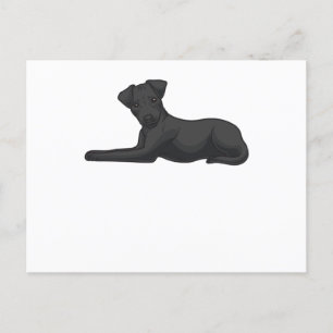 Patterdale Terrier Dog Postkarte