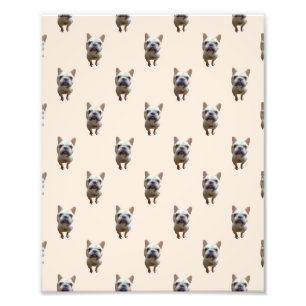 pattern_1_french bulldog_1 fotodruck