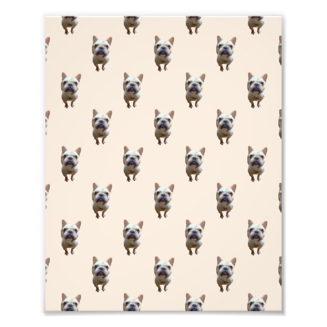 pattern_1_french bulldog_1 fotodruck (Vorne)