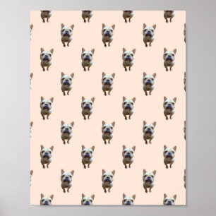 pattern_1_french bulldog_1 matte poster