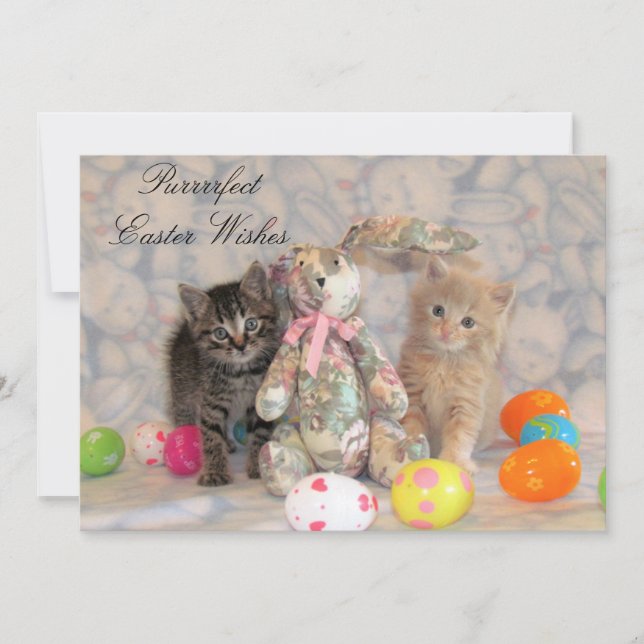 Patton & Buffington Easter Cat Feiertagskarte (Vorderseite)