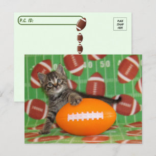 Patton Plays Football - Cat Postcard Postkarte