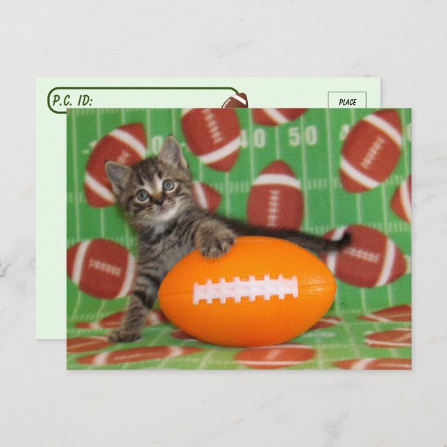 Patton Plays Football - Cat Postcard Postkarte (Vorne/Hinten)