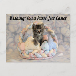 Patton's Osterkorb - Postkarte