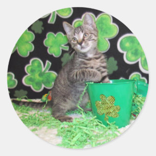 Patton's St. Patrick's Day Cat / Kitten Stickers