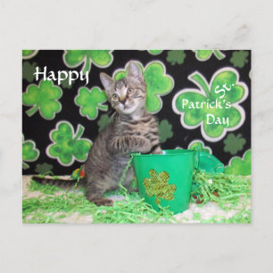 Patton's St. Patrick's Day Postcard - Katze / Kitt Postkarte