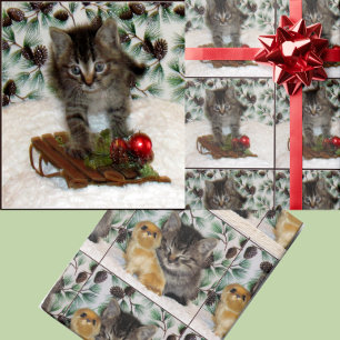 Pattons Weihnachtszeit - Weihnachten der Katze Geschenkpapier