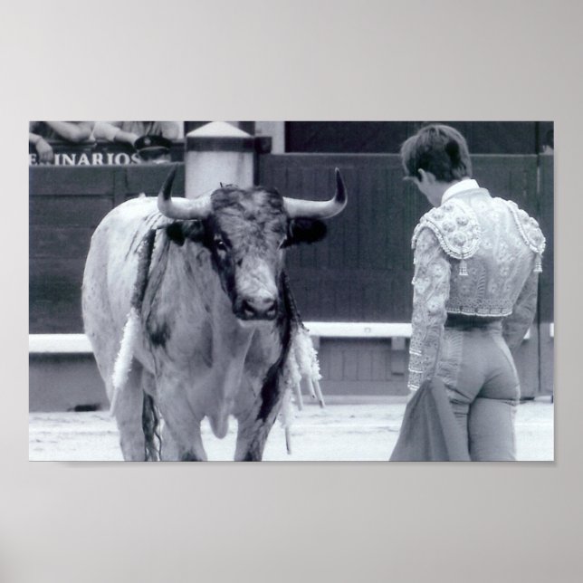 Pattsituation Poster (Vorne)