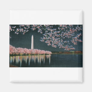 PAU42 Washington am Abend.tif Magnet