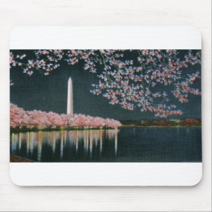PAU42 Washington an Night.tif Mousepad
