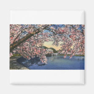 PAU43 Gezeiten- Basin.tif Magnet