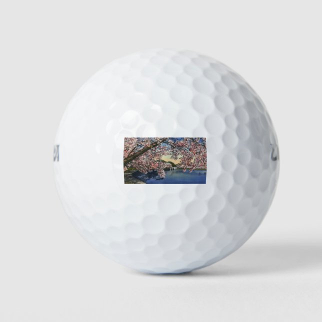 PAU43 Gezeitenbecken.tif Golfball (Vorderseite)