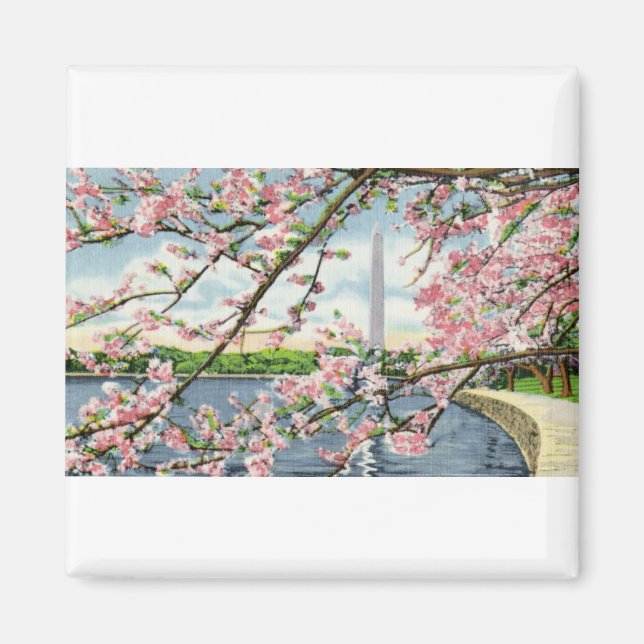 PAU45 Washington Monument 2.tif Magnet (Vorne)