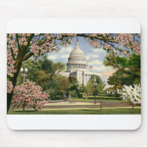 PAU46 US Capitol.tif Mousepad