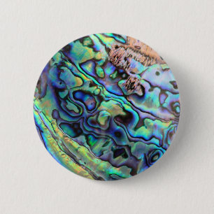 Paua abalone-Muschel Button