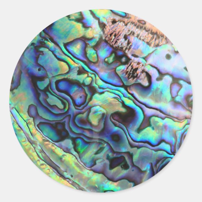Paua abalone-Muschel Runder Aufkleber (Vorderseite)
