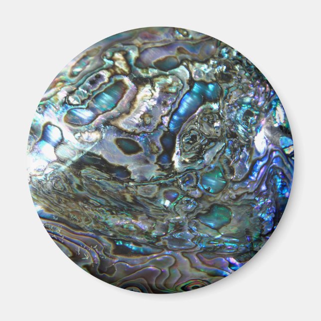 PAUA DESIGN MAGNET (Vorne)