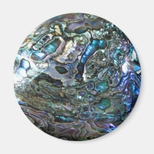 PAUA ENTWURF MAGNET