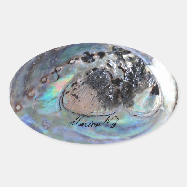 Paua Sticker (Vorderseite)