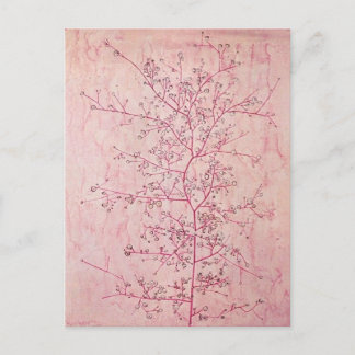 Paul Klee - Pink Spring in Deep Winter Postcard Postkarte