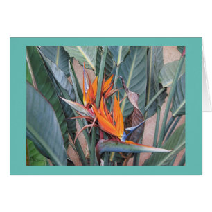 Paul McGehee "Bird of Paradise" Karte