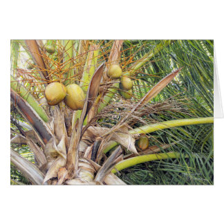 Paul McGehee "Coconuts"-Karte