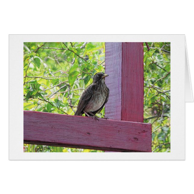 Paul McGehee "Island Visitor" Card (Vorderseite (Horizontal))