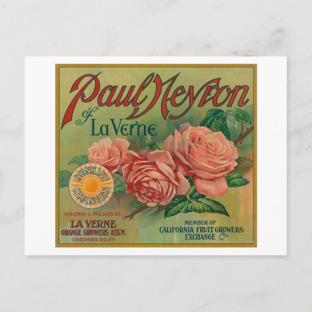 Paul Neyron, La Verne Orange Label Postkarte (Vorderseite)