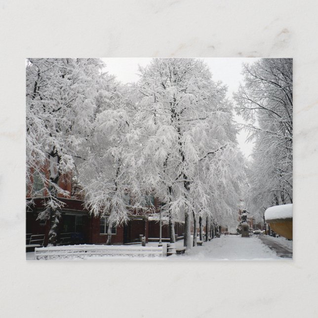 Paul Revere Mall Trees bedeckt mit Winterschnee Postkarte (Vorderseite)