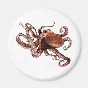 Paul The Octopus Magnet