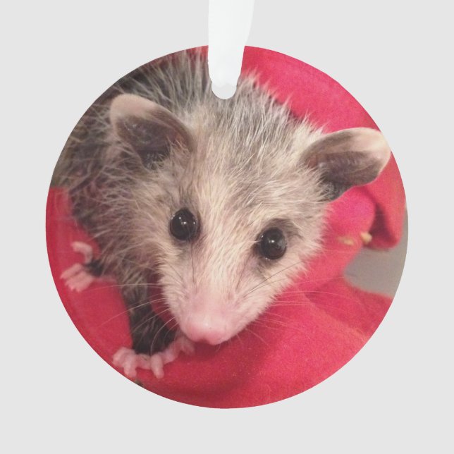 Paulee der kleine O'Possum von Südindiana Ornament (Vorderseite)