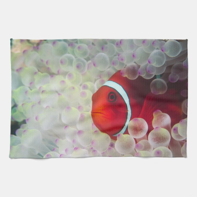 Paupau Neue Guinea, Great Barrier Reef Geschirrtuch (Horizontal)