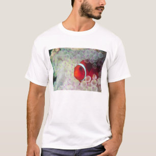 Paupau Neue Guinea, Great Barrier Reef T-Shirt