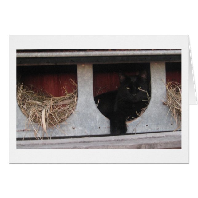 Pause machen (Vorderseite (Horizontal))