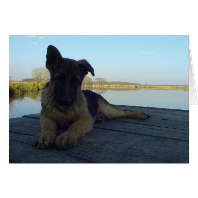 Pause machen (Vorderseite (Horizontal))