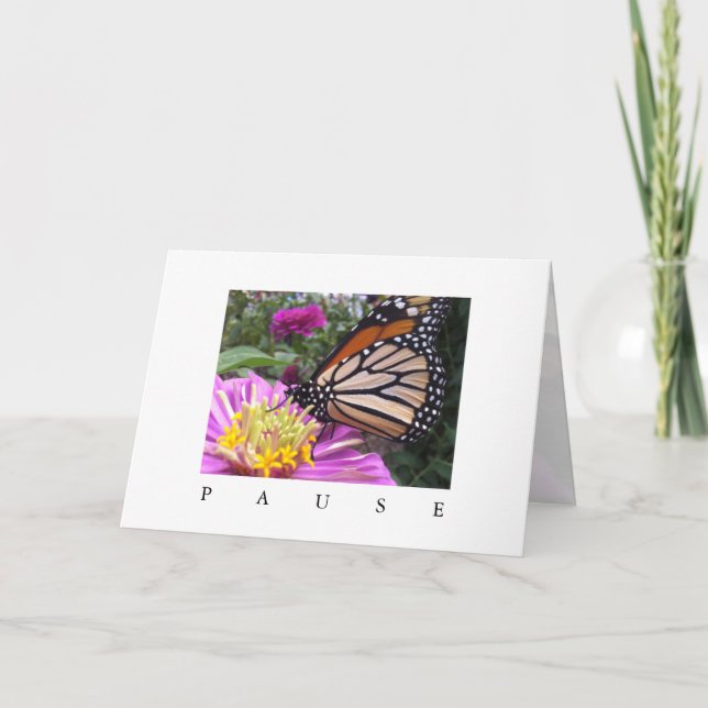 Pausenkarte: Monarch auf rosa Zinnia Karte (Vorderseite)